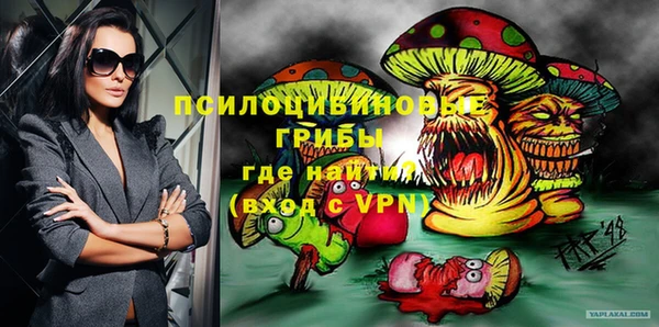 амф Алексин