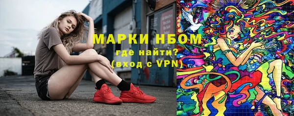 гидра Магас