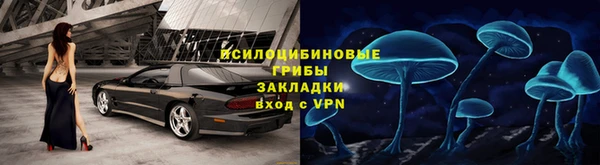 амф Алексин