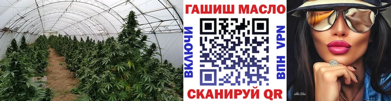 купить наркотик  Петрозаводск  Дистиллят ТГК гашишное масло 